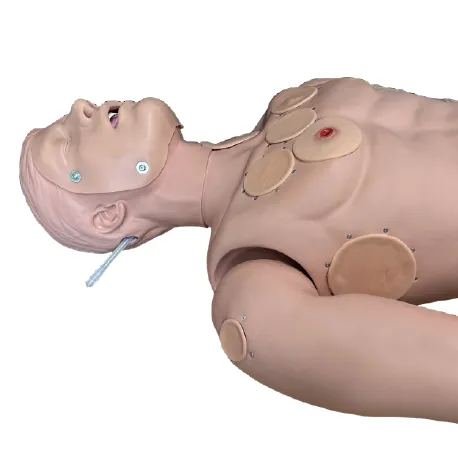 COMBAT CARL Care & Evacuation Training Manikin