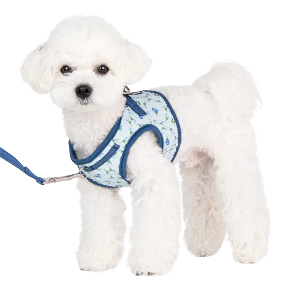 Puppia Florian Harness B