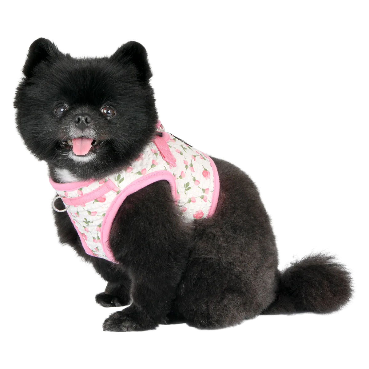 Puppia Florian Harness B