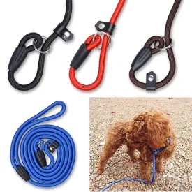 Training Lead (Leash)